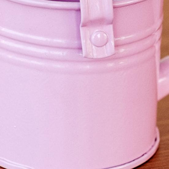 Metallgießkanne mit Brausekopf Langer Auslauf Gießkanne Kleine Gießkanne Indoor-Gartengerät für Zuhause Balkon Terrasse Büro Topfpflanzen