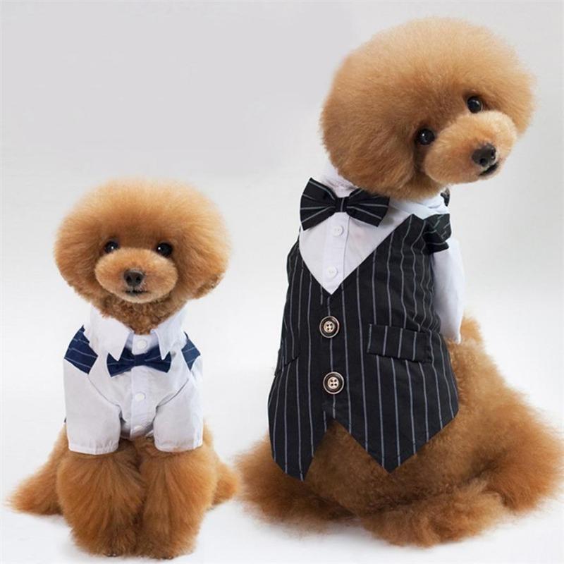 Exquisite Pet Dog Shirt Suit Fashion Cat Suit