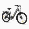 DYU C1 Electric Bicycle, 48V 10AH Battery, 350W Motor, 26 Inch Tires, Max Speed 25 km/h, 55 Range, E-Bike