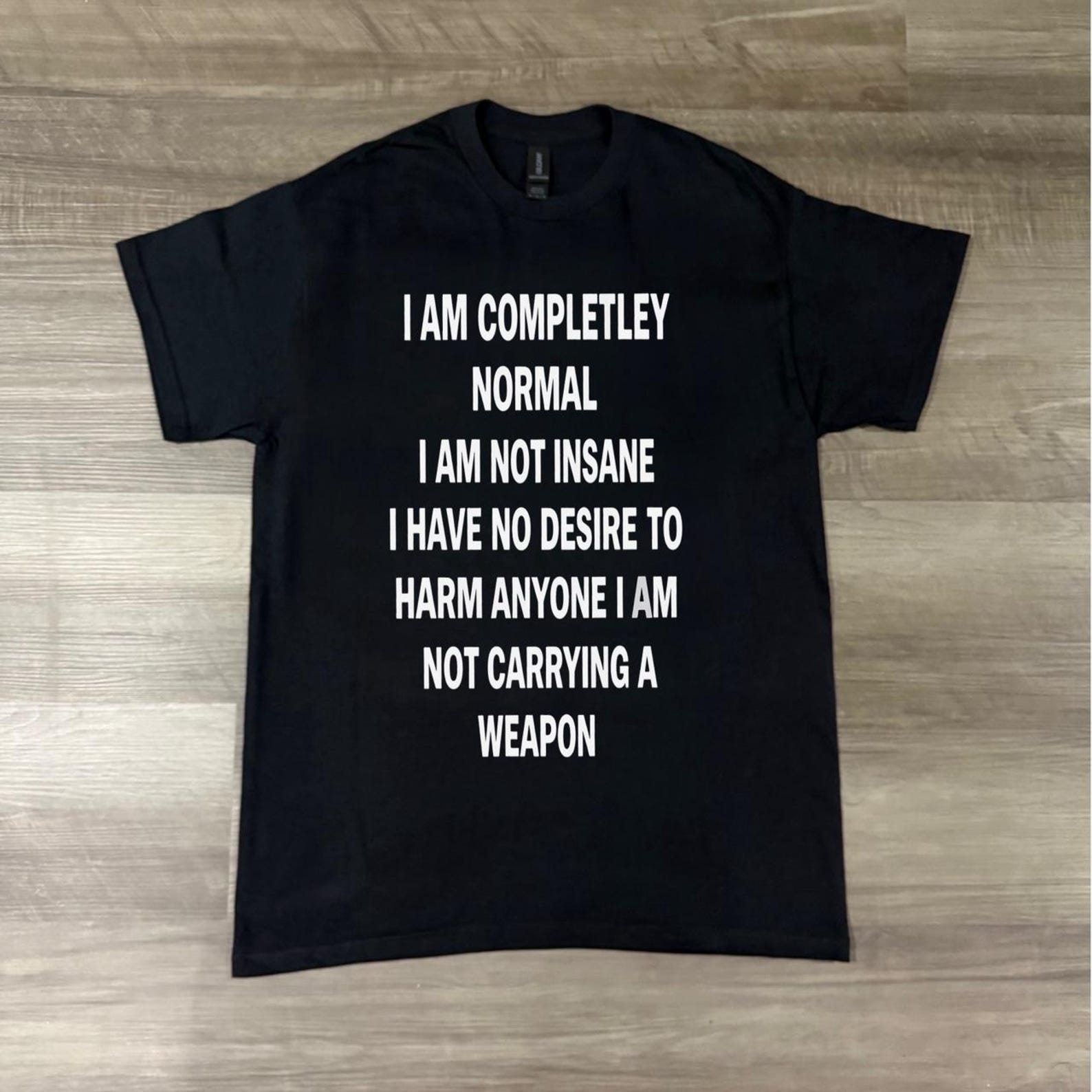 I am normal graphic tee, T-Shirt, I Am Completely Normal Funny Text Tee, Funny Mental Health Shirt, I Am Completely Normal Tee L