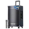 SAST 15-inch Portable Outdoor Karaoke Speaker (CN Version)