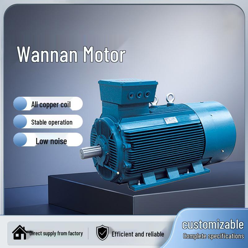 Anhui Wannan YLV Series Copper Coil Low Voltage High-Power Three-Phase Asynchronous Motor