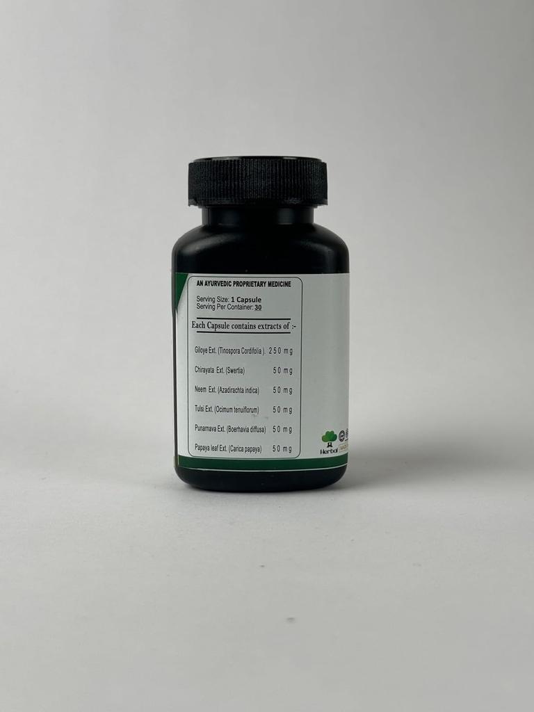 Ovitas Ayurveda Giloye, With Immune - Boosting & Detoxifying Properties | 30 Capsules 50gm 0.1lbs