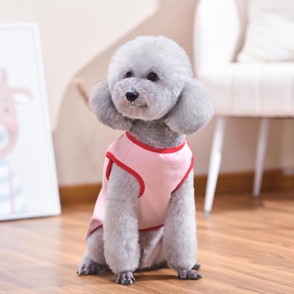 Cartoon Vest for Small & Medium Dogs: Spring & Summer Pet Apparel for Shiba Inu, Bichon Frise, Corgi