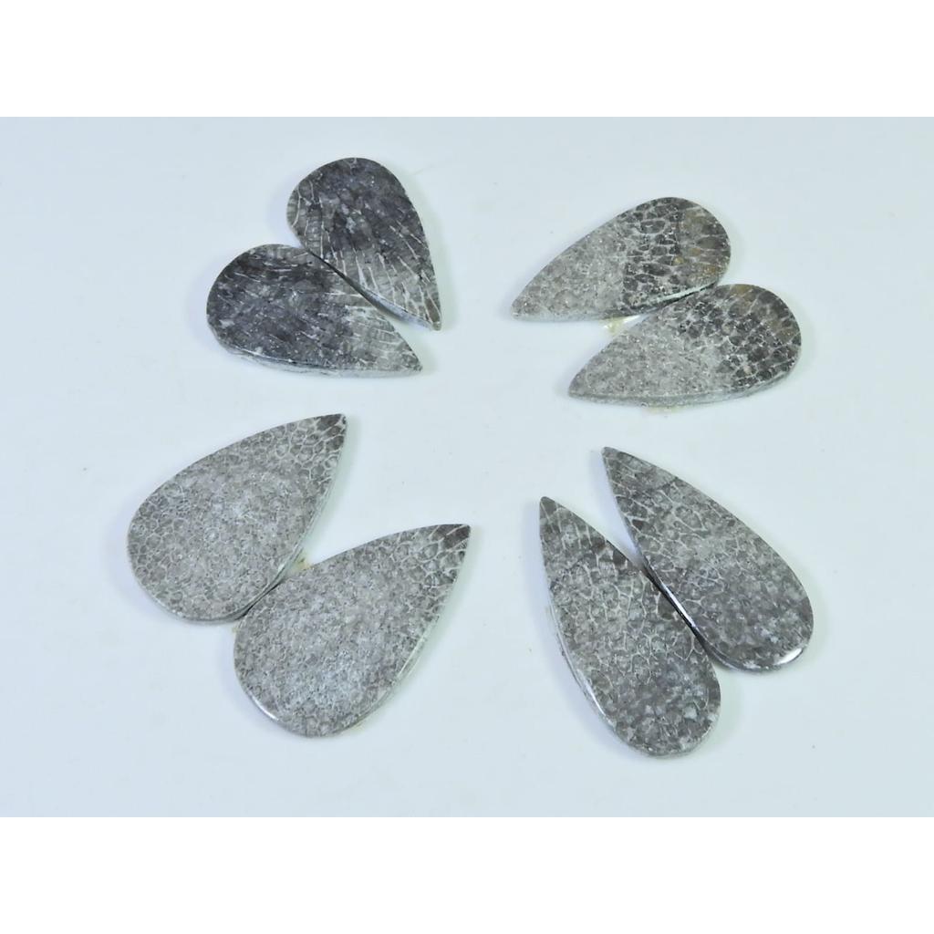 Natural Black Fossil Coral Matched Pair Pear Cabochon Gemstone 4 Pair Lot C-1857