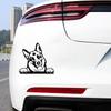 Automobiles Parts Car Stickers Dog Pet Stickers, Car Doors Body Bumpers, Decorative Car Windows Stickers Exterior Accessories