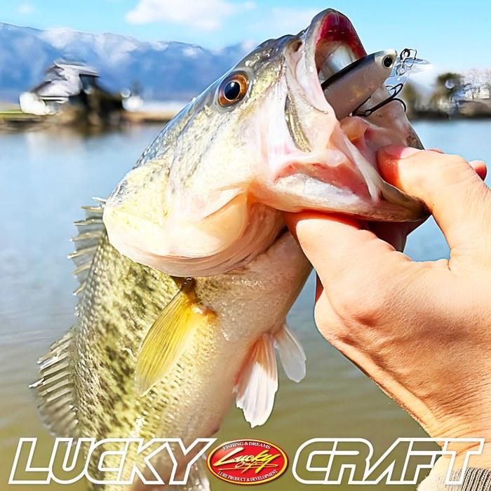 Lucky Craft Pointer 65 - US Standard Color (Beefreeze 65SP) Fishing Lure Minnow (052 Aurora Black) PT65