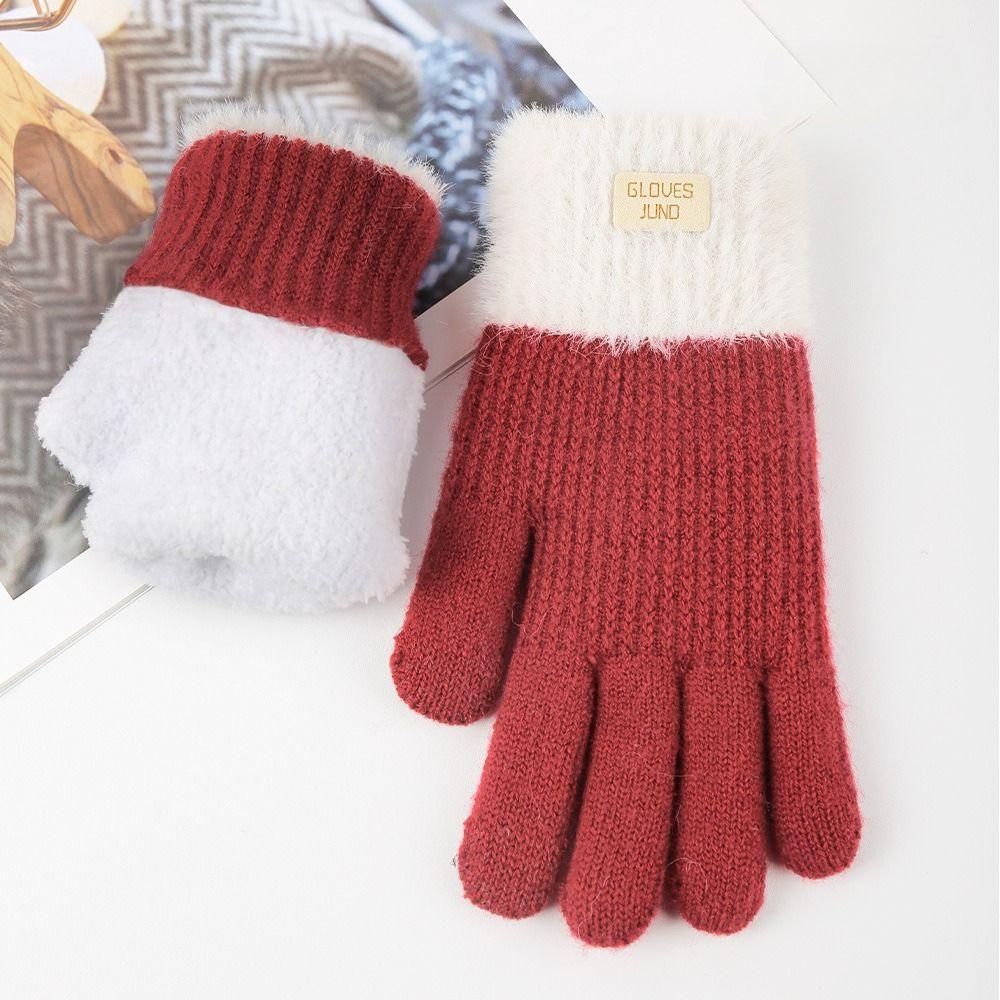 Knitted Gloves Autumn and Winter Double-layer Velvet Thickened Warm Women's Gloves Cold Resistant Touchscreen Gloves