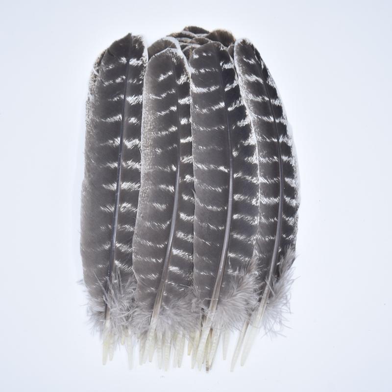 10Pcs/Lot Real Natural Turkey Feather Eagle Bird Feathers For Crafts Birds Plumes Decor Carnaval Accessories Manmade Decorations