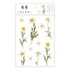 Stickers Flowers Leaves Plants PVC Stickers Lable Transparent PET Stickers For Scrapbooking Diary Journal Decorative DIY Materia
