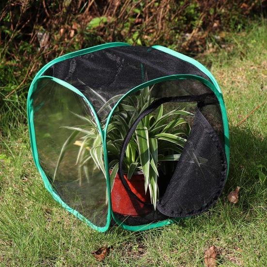 Collapsible Butterfly Habitat Feeding Cultivation Terrarium Mesh Cage