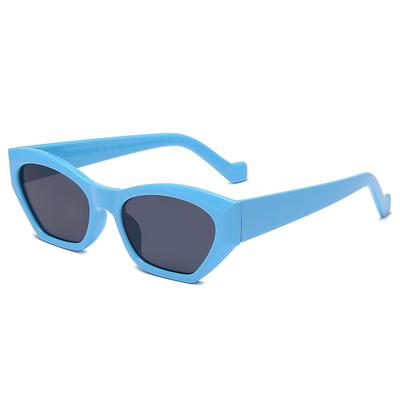 PC Small Framed Glasses With High-definition Field Of View Shatterproof Candy Colored Sunglasses