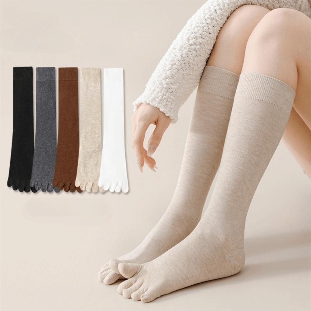 Hoher Schaft Fünf-Zehen-Socken Frühling Herbst Fünf-Finger-Socken Neue Wadenstrümpfe Damenstrümpfe