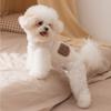 Pet Clothes Dog Clothes Autumn and Winter Two-legged Fleece Puppy Bigbear Teddy