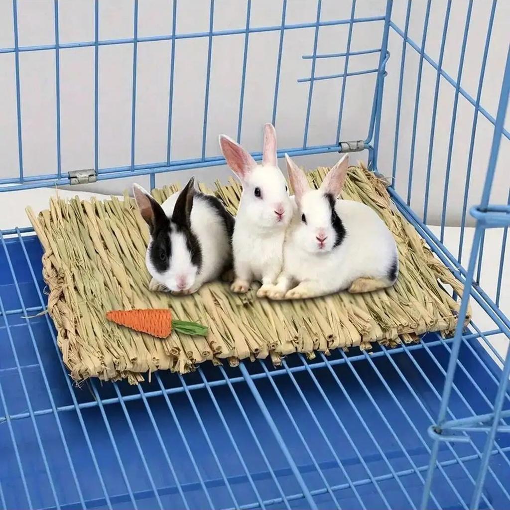 1pc-Bunny Grass Mat Small Animal Woven Hay Mat Natural Straw Bedding Resting Cage Mat For Guinea Pig Chinchilla Hamster Rat
