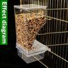 Transparent Parrot Feeder - No-Mess Design with Visible Food Supply Transparent Automatic Parrot Feeder