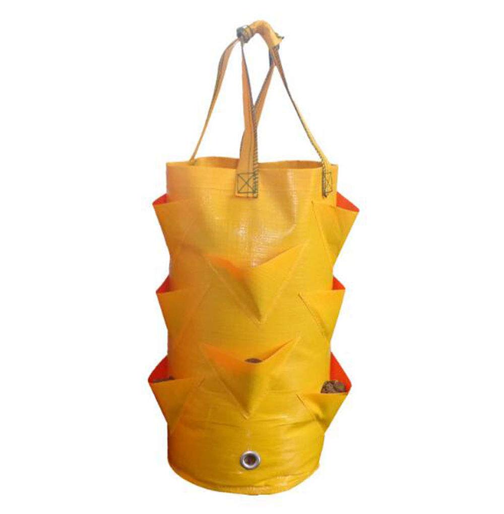

STK Strawberry Cultivation Strawberry Planting Bags, Hanging Planter, Garden Grow Bags (Set of 10, Yellow)