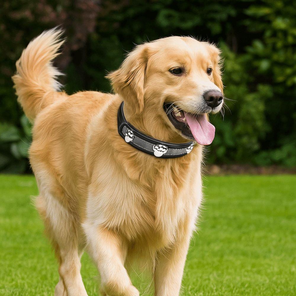 Cute Leather Reflective Dog Collar Adjustable Metal Buckle Dog Footprint Collar Soft Decorative Dog Necklace Outdoor Activities