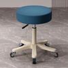 Beauty Salon Swivel Stool: Hairdresser, Nail Technician, Makeup Artist, Barber Wheeled Chair