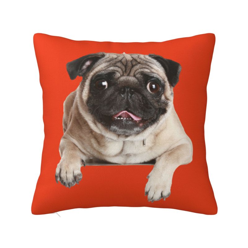 French Bulldog Cushion Cover 45x45cm Frenchie Dog Velvet Luxury Throw Pillow Case for Sofa