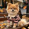 Small Dog Shirts Casual Striped Outfits With Collar Breathable Dog Clothes For Photography Birthday Holiday Party Outdoor Travel