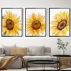 Watercolor Sunflowers Posters Prints Botanical Floral Canvas Painting Flower Wall Art Picture for Living Room Home Decoration