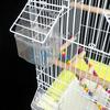 Y3NA Transparent Bird Supplies Bird Cage Feeder Plastic Easy to Use and Clean Durable