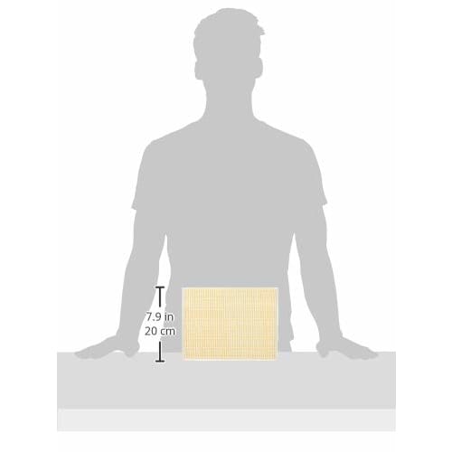 Panasonic Replacement Microparticle Filter FY-FDD2519AC