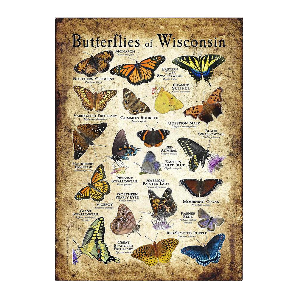 Abstrakt HD-tryck Fjäril Groda Fåglar Haj Marina Djur Collage Poster Canvas Målning Vintage Väggkonst För Barn Sovrum Heminredning