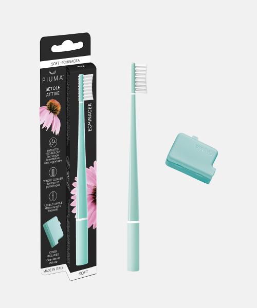 Premium Echinacea Toothbrush Aqua Green 1P