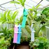 100PCS Pallets To Mark Plants Plastic Labels Plant Name Tag Ring Garden Sign Tags for Garden Plant Identification ZWBQP02