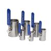 Cantonese Stainless Steel High-Temp Steam Ball Valve, Gate Valve, Female Threaded, Sizes: 1/2", 3/4", 1", DN15