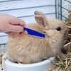 Pets Rabbit Grooming Brush Small Pet Hair Remover Flea Comb Shampoo Bath Brush for Hamster Guinea Pig Rabbit Accessories