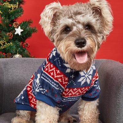 Roupa e sapatos – Camisolas com capuz para cães