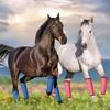 Horse Fly Leggings Breathable Plastic Meshes Horse Leg Wraps for Mosquitoes Bites Proof Cycling Leg Fly Boot