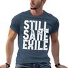 path of exile Essential TShirt Lightweight Running Sports TShirt
