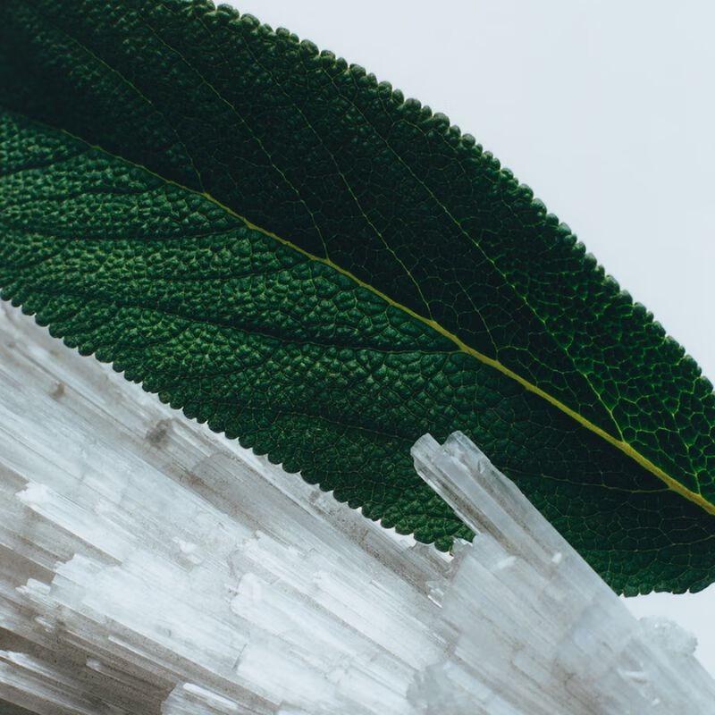 Jo Malone Wood Sage & Sea Salt Shower Gel