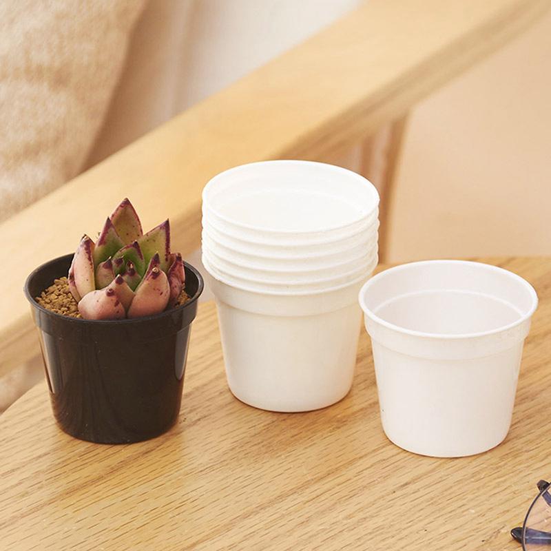 Plántulas circulares pequeñas de plástico para cría de plántulas, plántulas de cambio y macetas para plantar macetas suculentas