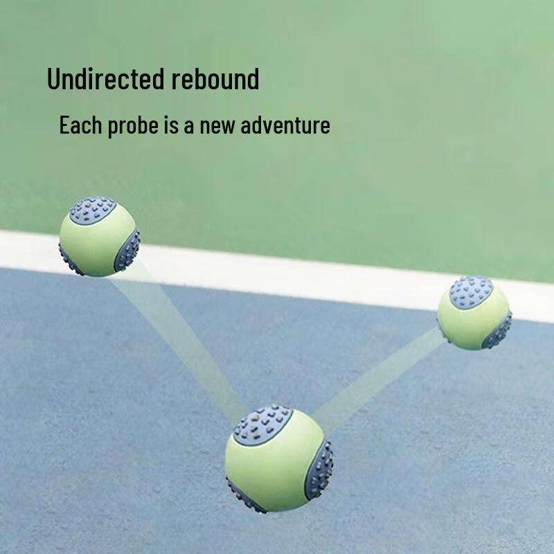 Pet Dog Squeaky Chew Toy Ball