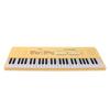 54 Key Electronic Piano Keyboard with Wired Microphone Support Recording Multifunction Kids Electronic Piano Music