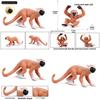 Kids Saimiri Sciureus Wildlife Monkey Figurine Model Toy For Educational Play