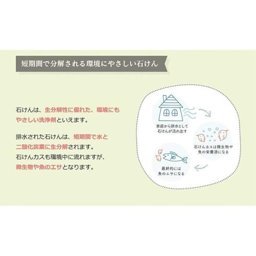 Bulk Purchase: Soap Bubble Snowl Refill, 800ml X 3 Bags, Additive-Free Soap