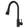 Stainless Steel Rotatable Pull-Out Kitchen Faucet