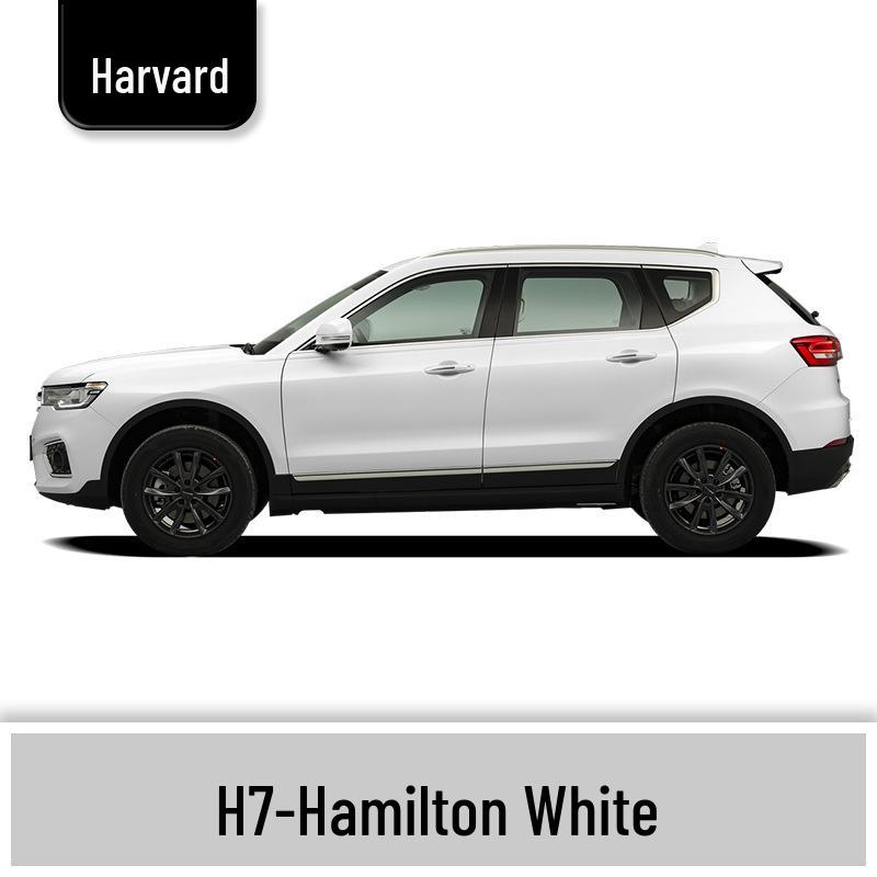 Haval H6 Cool Dog Touch-Up Pen, Black Spot & Ruixue White Scratch Repair Paint