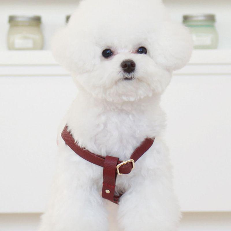 MAISON DE MIU Running Mate Harness_Wine
