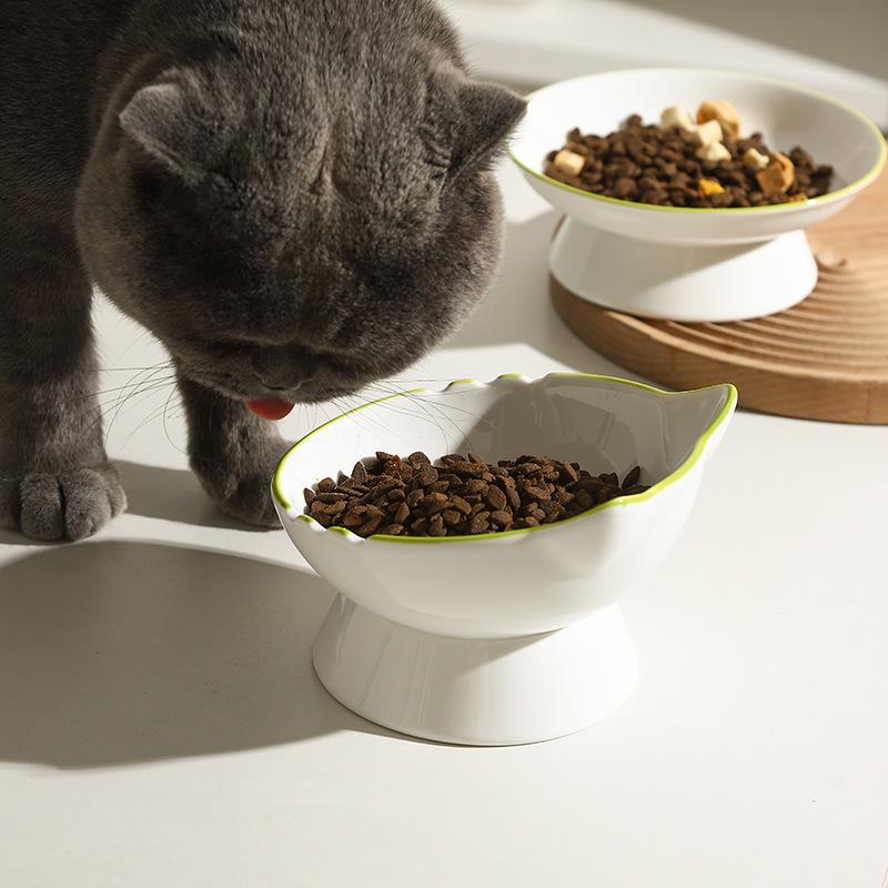 Ceramic Cat and Dog Food Bowl: Anti-Knockover, Large Diameter, Water/Rice/Pet Bowl, Oblique Design