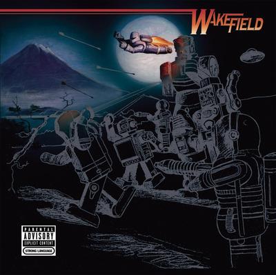CD WAKEFIELD - Which Side Are You On  82876681352 Japan Rock Used