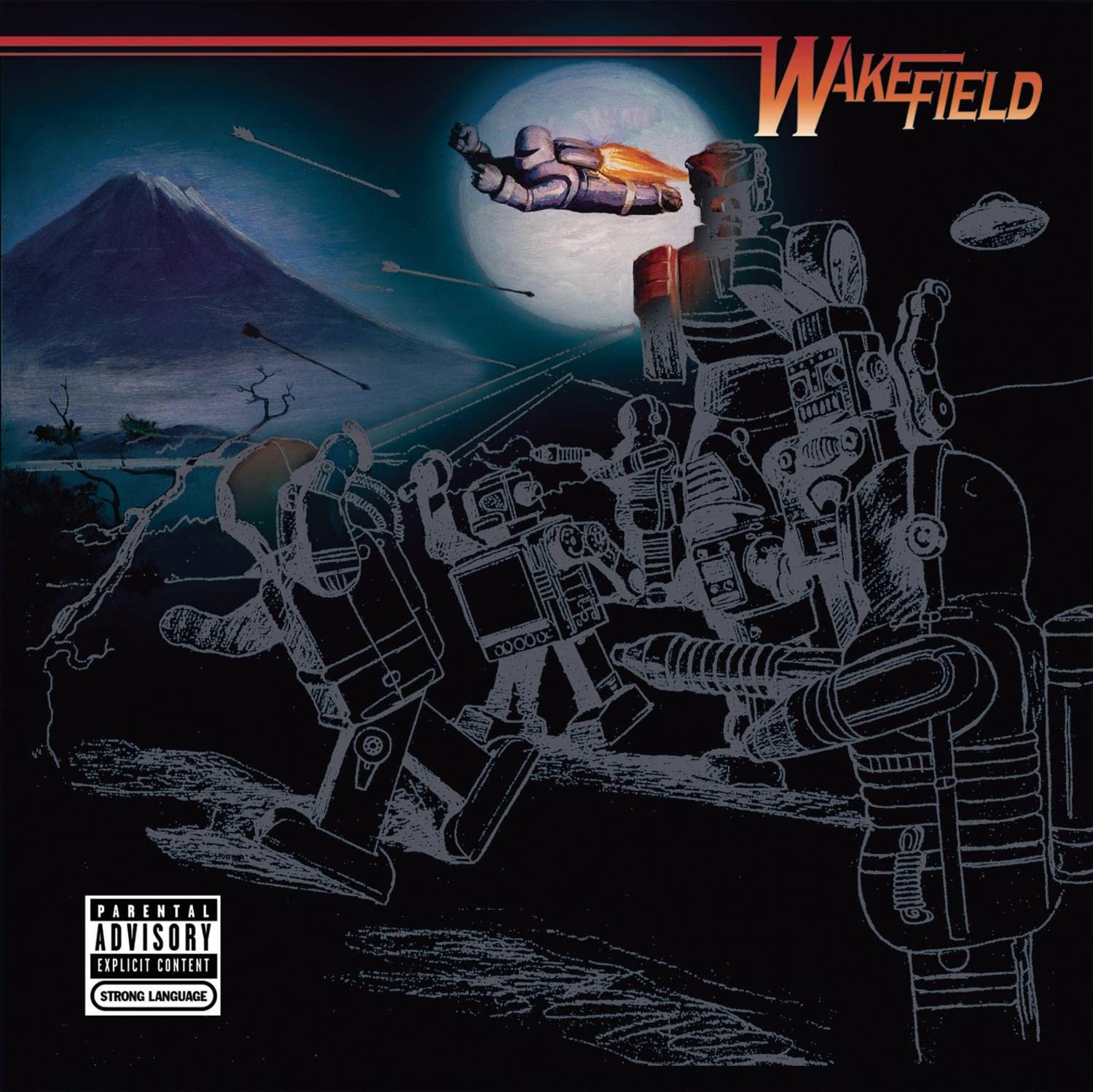 

CD WAKEFIELD - Which Side Are You on 82876681352 Japan Rock Used