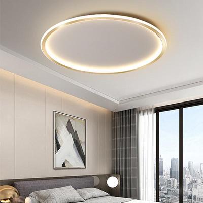 Bedroom/Living Room Intelligent Stepless Dimming Ceiling Lamp 25W/31W LED Lighting Lamp Minimalist Ceiling Light