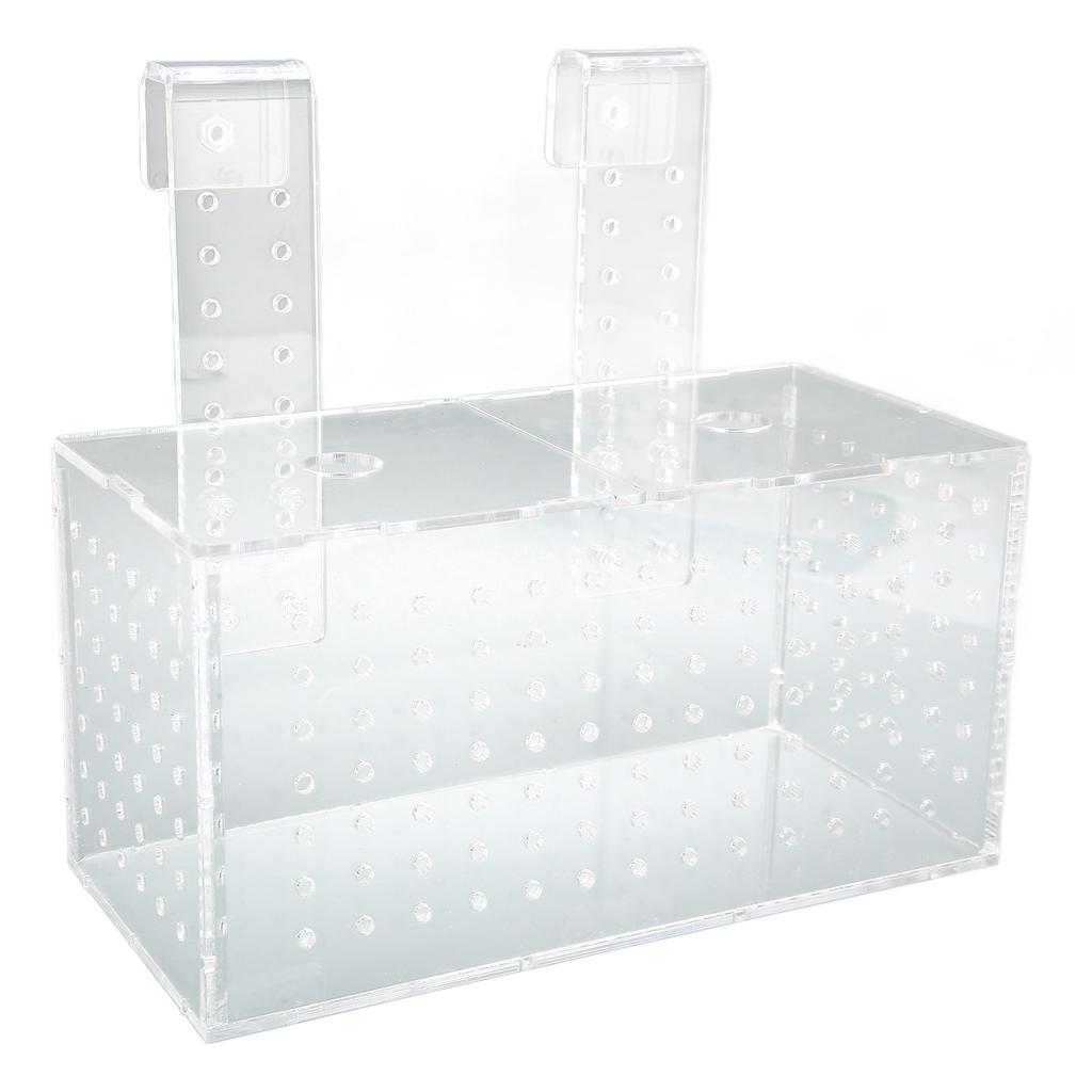 Fish Breeding Isolation Box Transparent Hook Installation Acrylic Aquarium Hatchery for Fish Tank